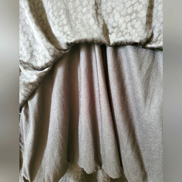 Empire style see through dress-small - Picture 3 of 4